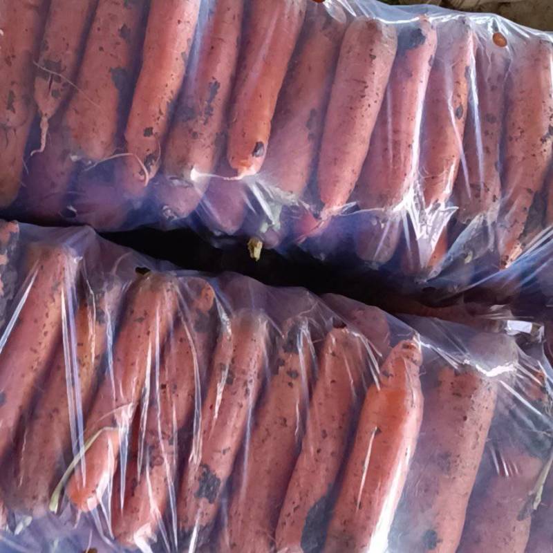 南阳精品三红胡萝卜大量上市，包地2500--2800一亩