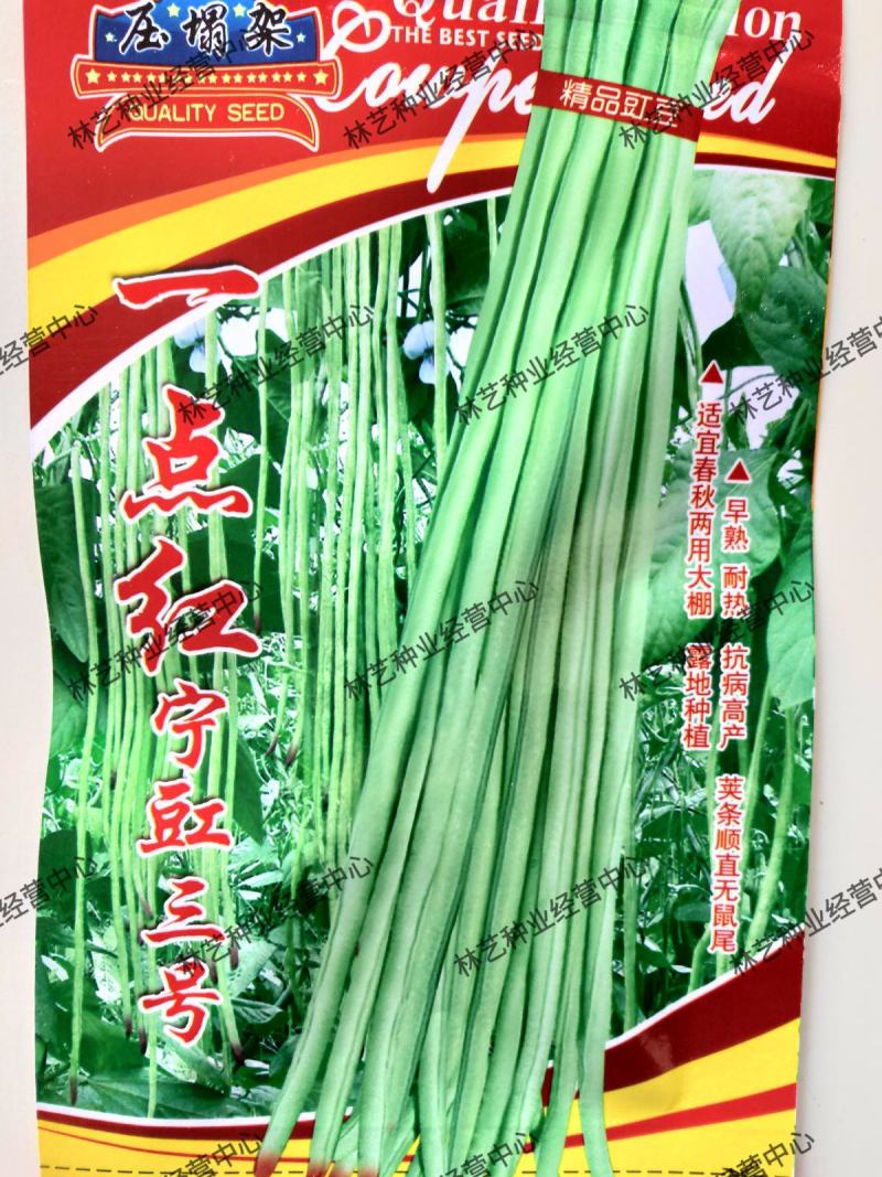 宁豇三号豇豆种子一点红早熟高产耐热耐涝田园庭院蔬菜种子