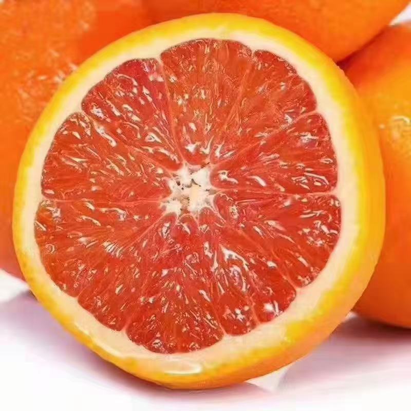 重庆云阳红橙