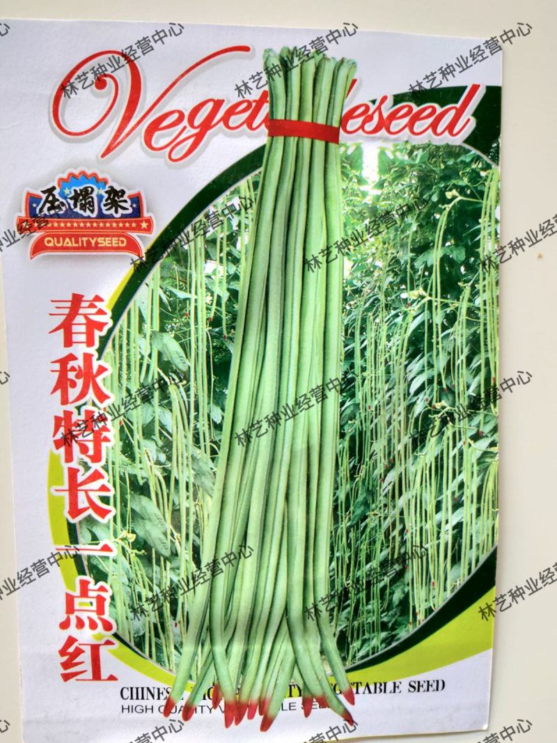 春秋一点红豇豆种子四季阳台小菜园种植扁豆芸豆特长豆角籽
