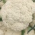 精品有机花菜，散花花菜大量供应。量大从优欢迎你的到来
