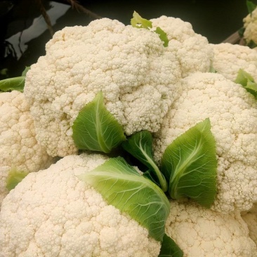 精品有机花菜，散花花菜大量供应。量大从优欢迎你的到来