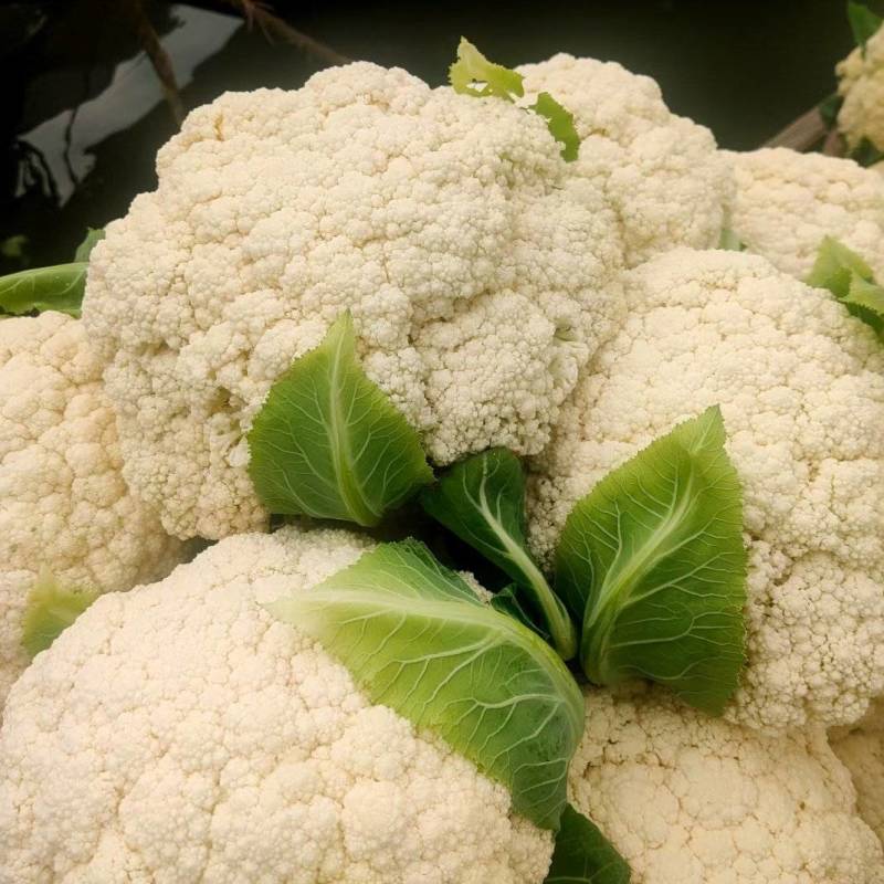 精品有机花菜，散花花菜大量供应。量大从优欢迎你的到来