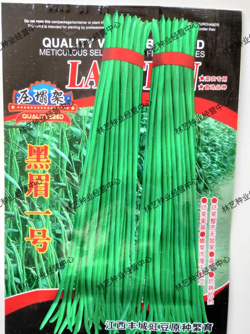 黑眉一号高产特长绿豆角种子豇豆种子早熟春秋夏大面积用