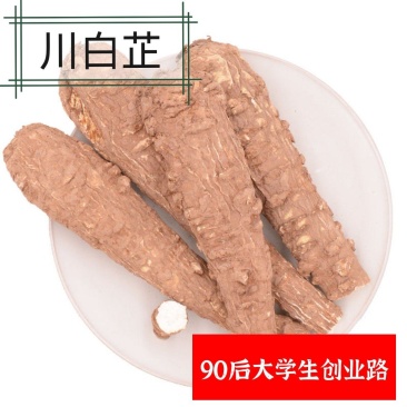 四川白芷个川白芷大白芷香川芷香料调料卤肉料中药材
