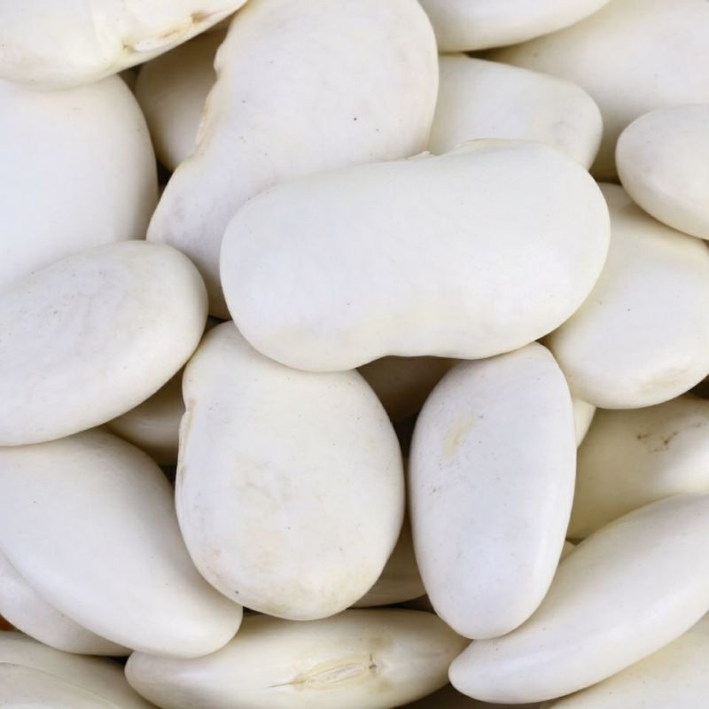 大白芸豆5斤新货农家云南大白豆大雪豆云豆五谷杂粮豆