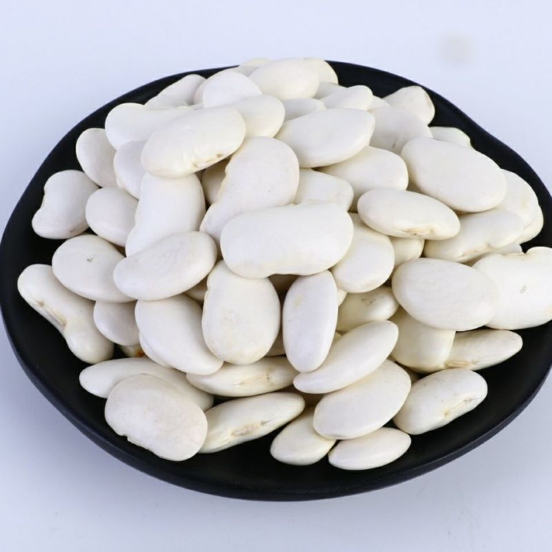 大白芸豆5斤新货农家云南大白豆大雪豆云豆五谷杂粮豆