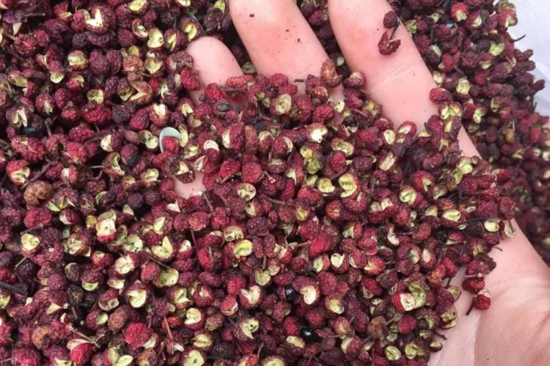 【包邮】花椒陕西韩城大红袍调料香料卤肉料中药火锅
