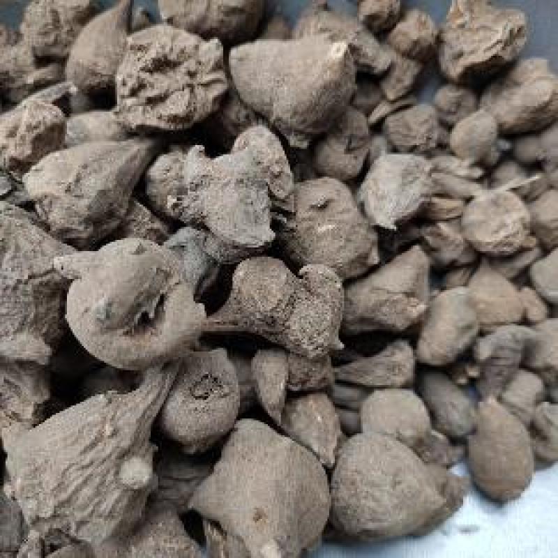 四川乌药货好量大要多了有优惠欢迎咨询下单平台交易