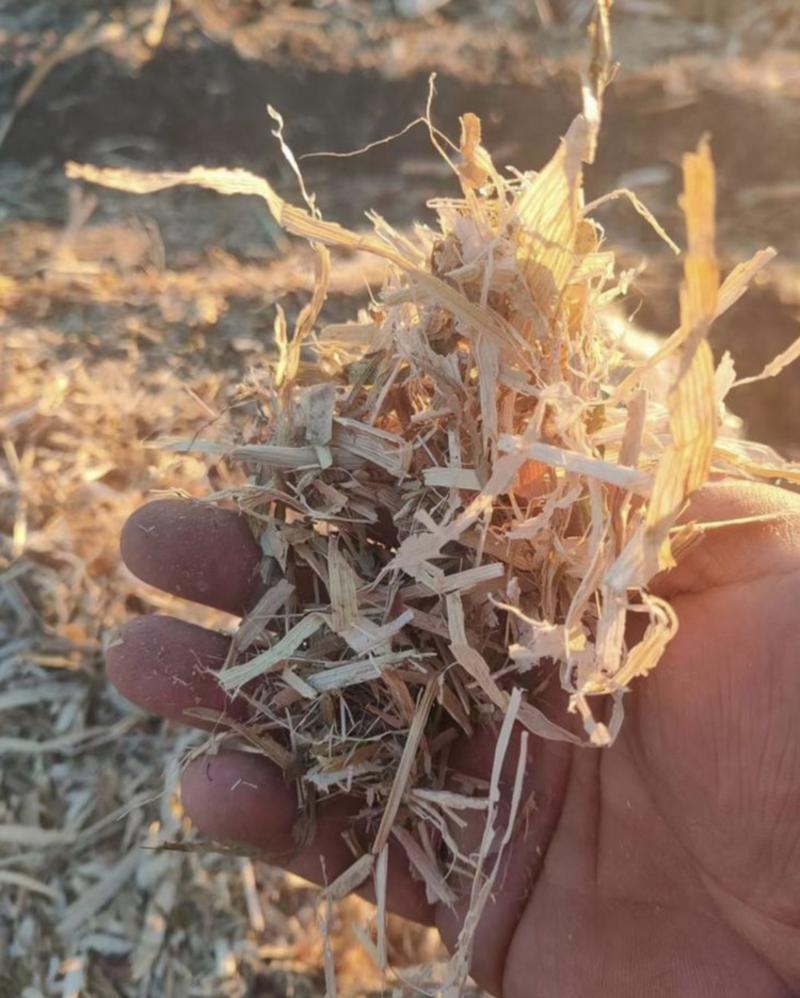 顺邦玉米秸秆柔丝草块50斤无土无膜无霉变每天60吨