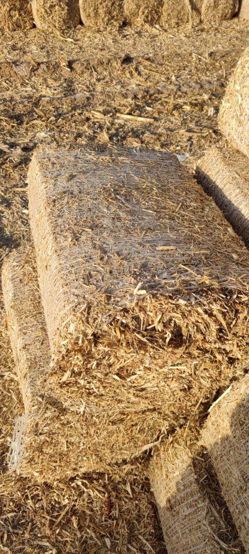 顺邦玉米秸秆柔丝草块50斤无土无膜无霉变每天60吨