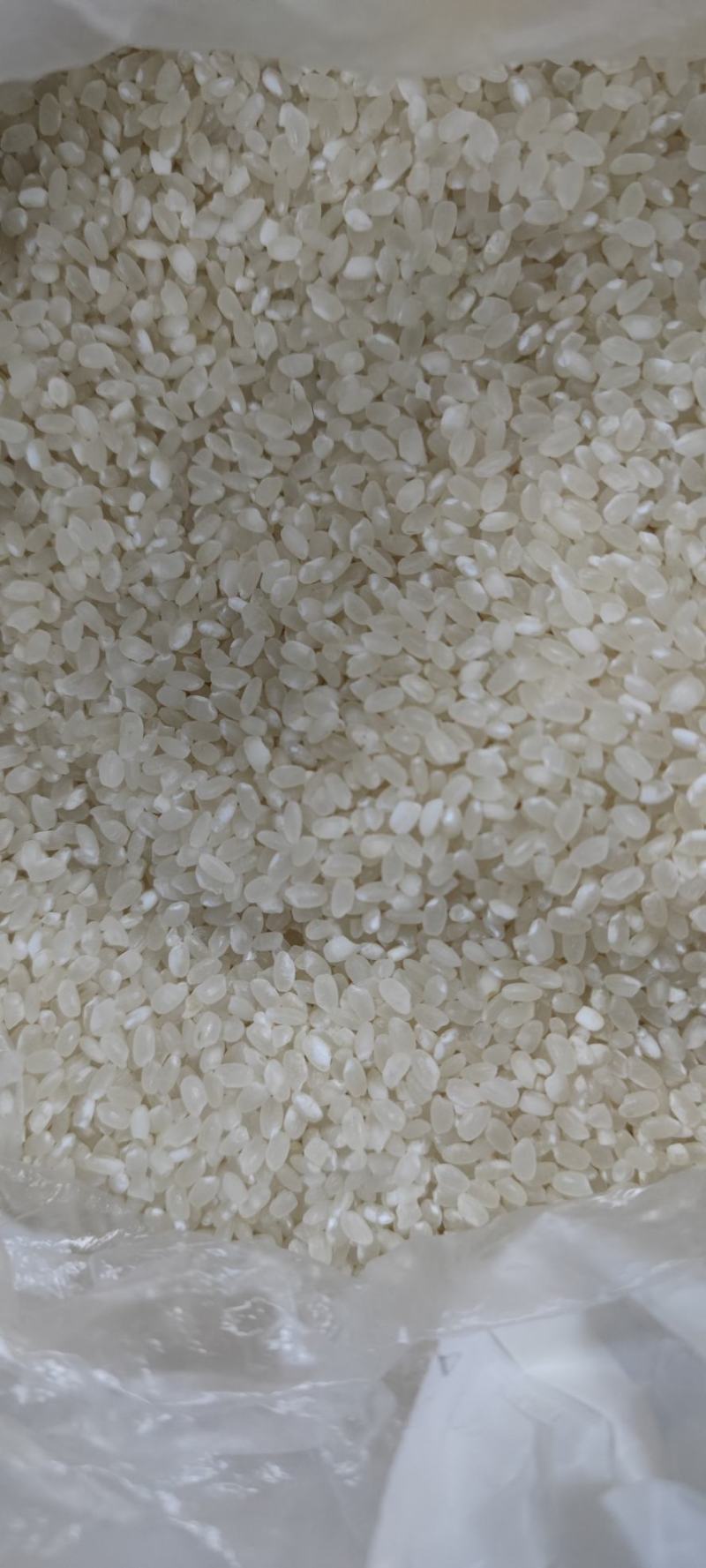江苏大米，1.85包邮到岸！一挂起，特价出……
