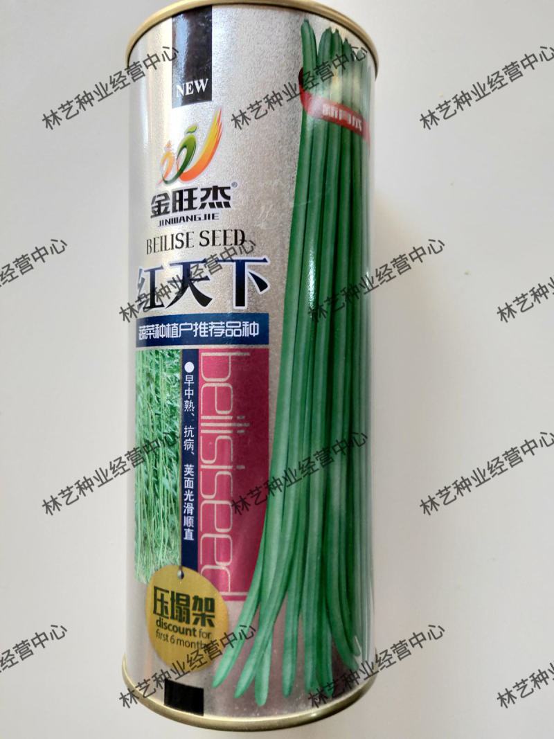 红天下豇豆种子特长青条长豆角种子大田春秋种植蔬菜籽