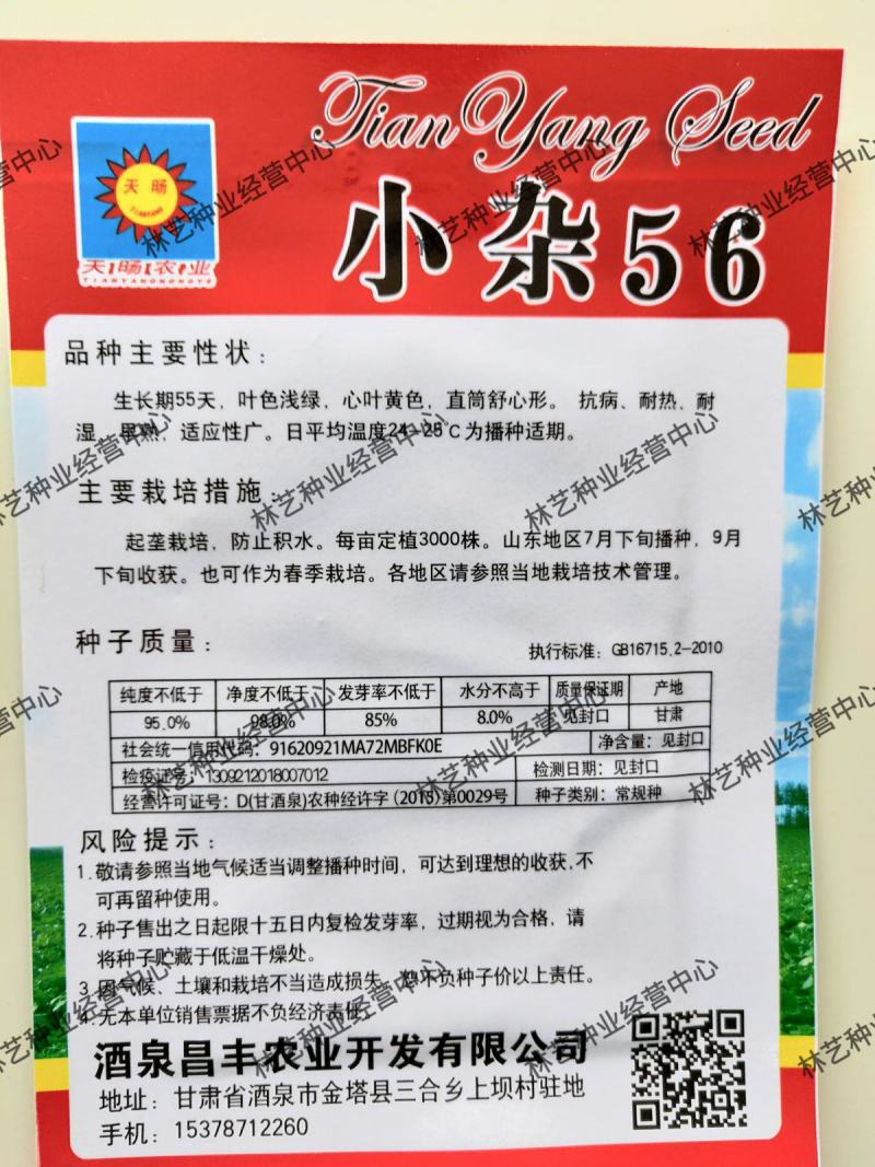 小杂56黄心花大白菜种子小型耐热耐湿抗病传统白菜秋播季种