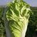 改良87-114大白菜种籽大白菜种子秋季有机包头菜种子