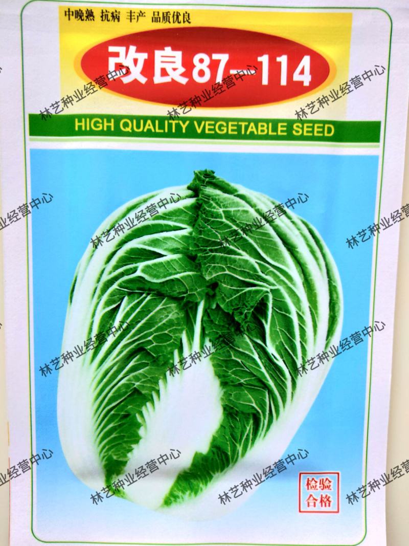 改良87-114大白菜种籽大白菜种子秋季有机包头菜种子