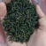 正宗广西桂林原生态石崖茶平乐县石崖茶特产