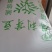 芽豆明粒绿豆中粒国产东北芽豆生豆芽豆子一代起