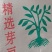 芽豆明粒绿豆中粒国产东北芽豆生豆芽豆子一代起