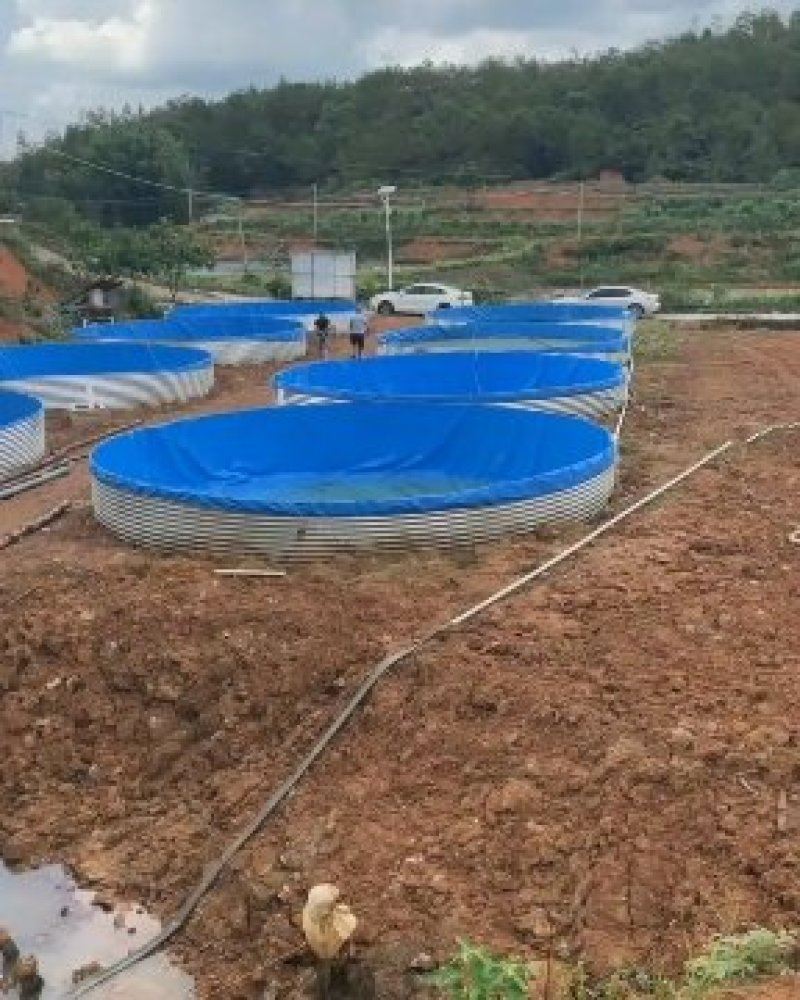 大型尹外养殖镀锌板帆布池圆桶镀锌板支架方形帆布池