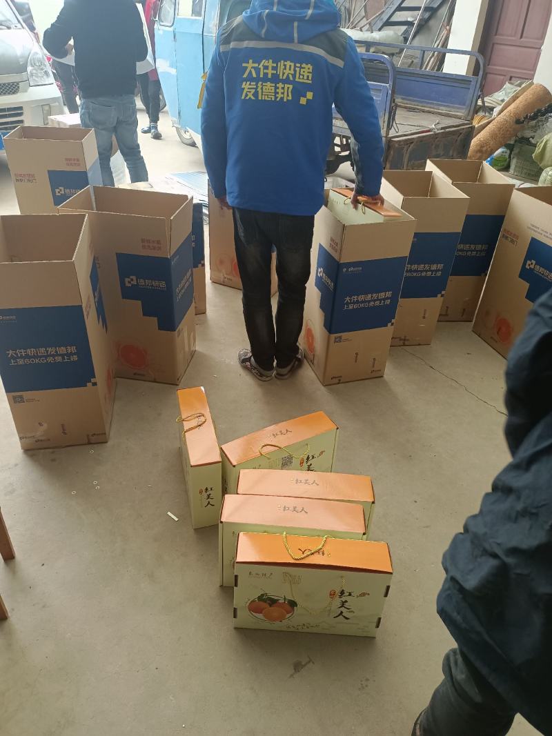 只有来自这片美丽的东方仙岛才能种出入口即化，汁多味美果子