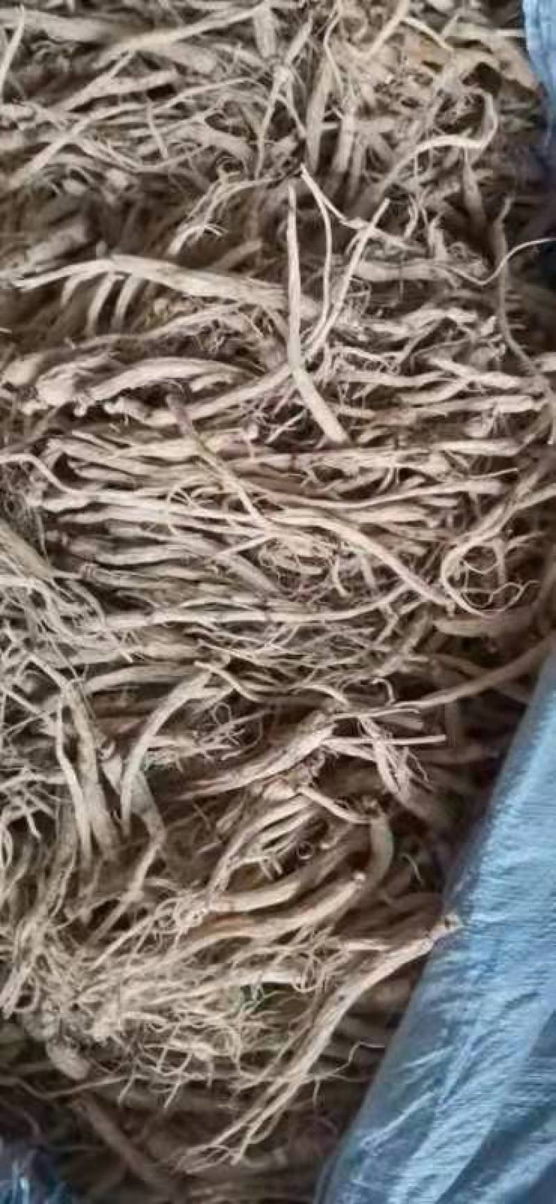 长白山野生黄芪，快递包邮，圆片，干货，装瓶