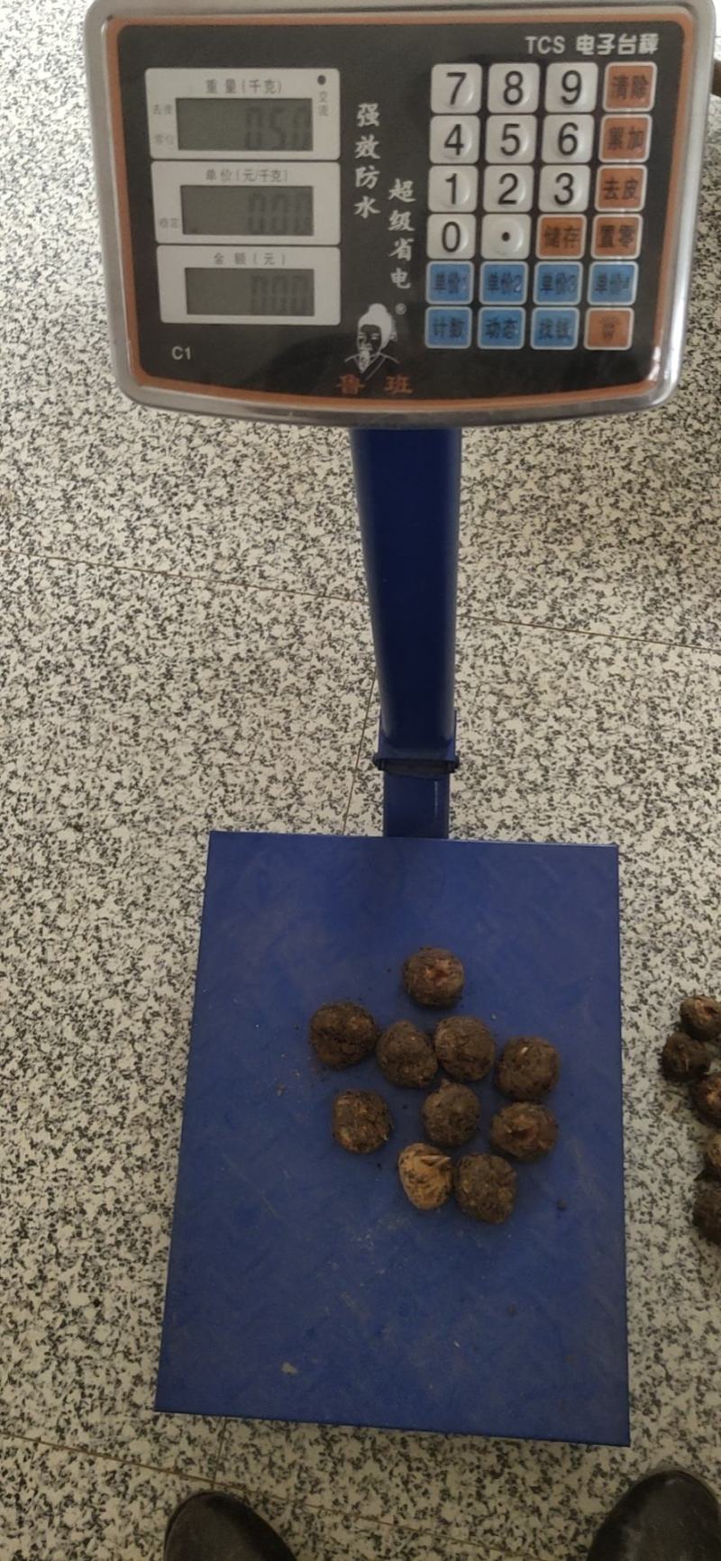 带办荔浦马蹄统货2.2～2.5一斤。