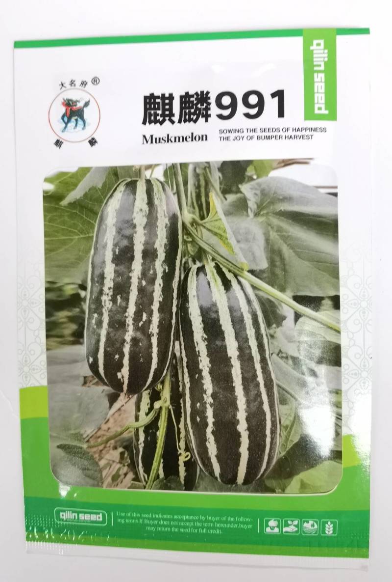 【超越博洋9】欧蜜9号甜瓜种子高甜酥脆香羊角蜜甜瓜种子