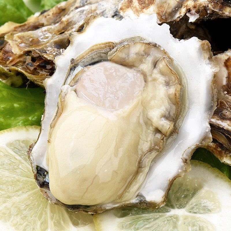 生蚝