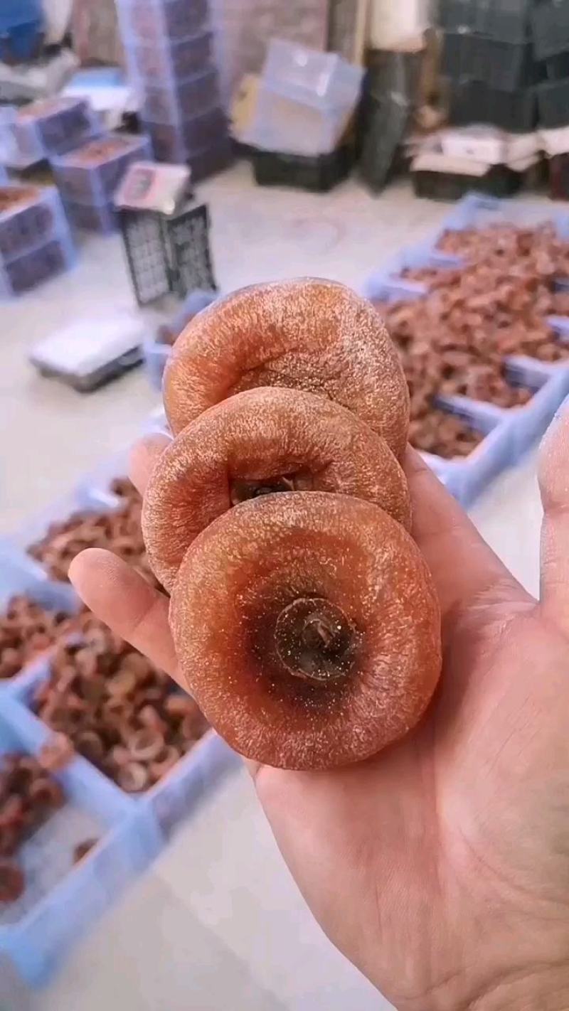 电商中小饼广西桂林柿饼圆饼产地大饼特饼大量有货便宜