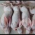 烫皮兔肉带皮兔肉肉质好产地直销可定制加工