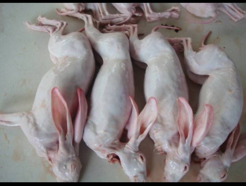 烫皮兔肉带皮兔肉肉质好产地直销可定制加工