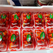 【推荐】安徽合肥长丰红颜草莓欢迎全国各地客商前来