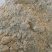 油炸，大豆油渣花生油渣猪牛羊添加饲料，可做肥料
