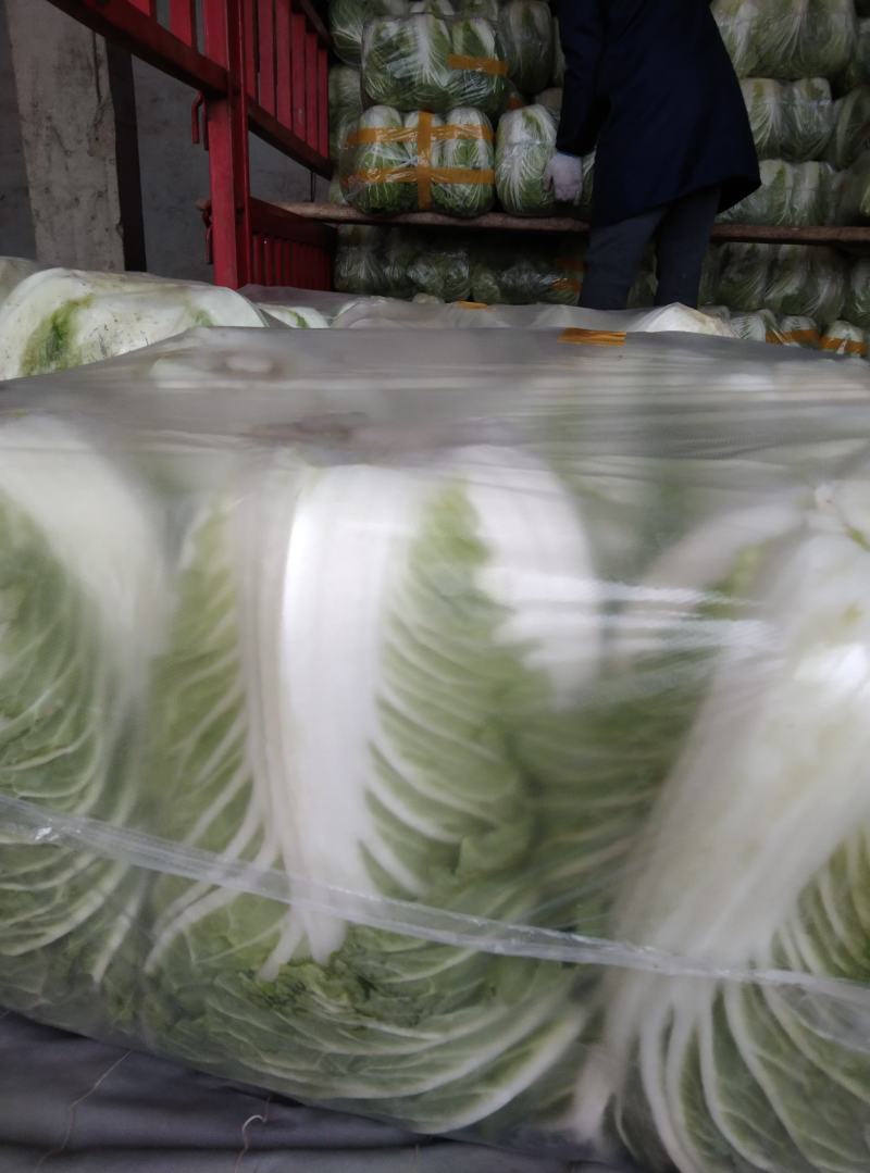 安徽黄心大白菜，产地直销，货源充足，质量保证。