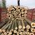 大量出售杨树原木，1.3米，2.6米规格，10公分以上