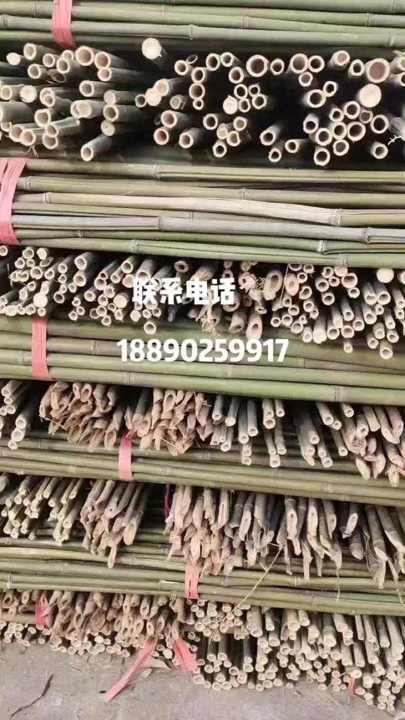 优质竹竿菜架竹.金竹.西红柿架杆.豆角架可架接瓜果蔬菜