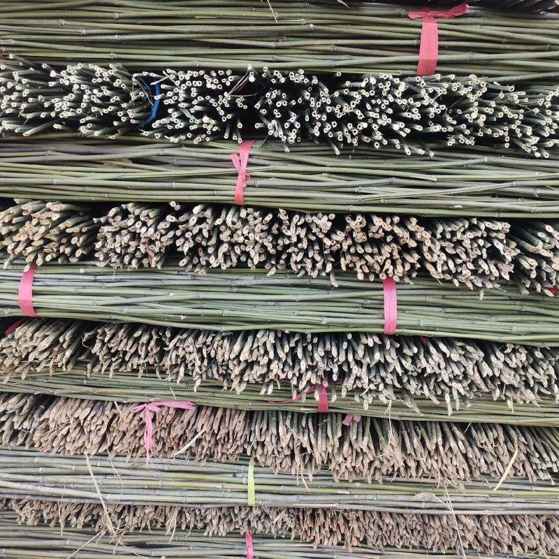 优质竹竿菜架竹.金竹.西红柿架杆.豆角架可架接瓜果蔬菜