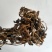 干马齿苋菜蚂蚱菜当年无根无杂质马齿苋干净货长寿菜