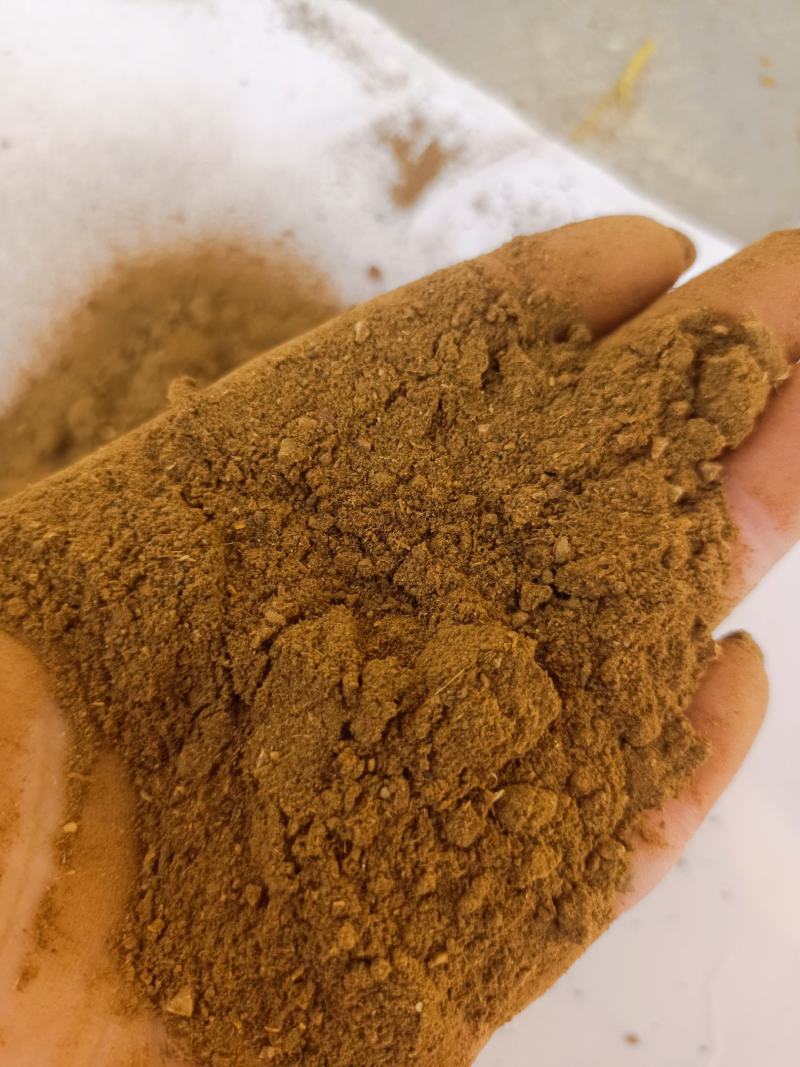饲料红枣肉粉饲料枣粉大枣物牛羊枓料能量枣粉