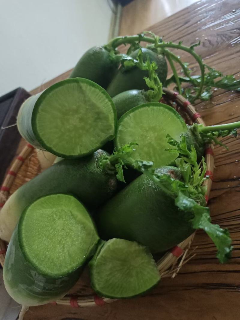 万亩水果萝卜青萝卜潍县萝卜大量开拔不辣甘甜免费小工