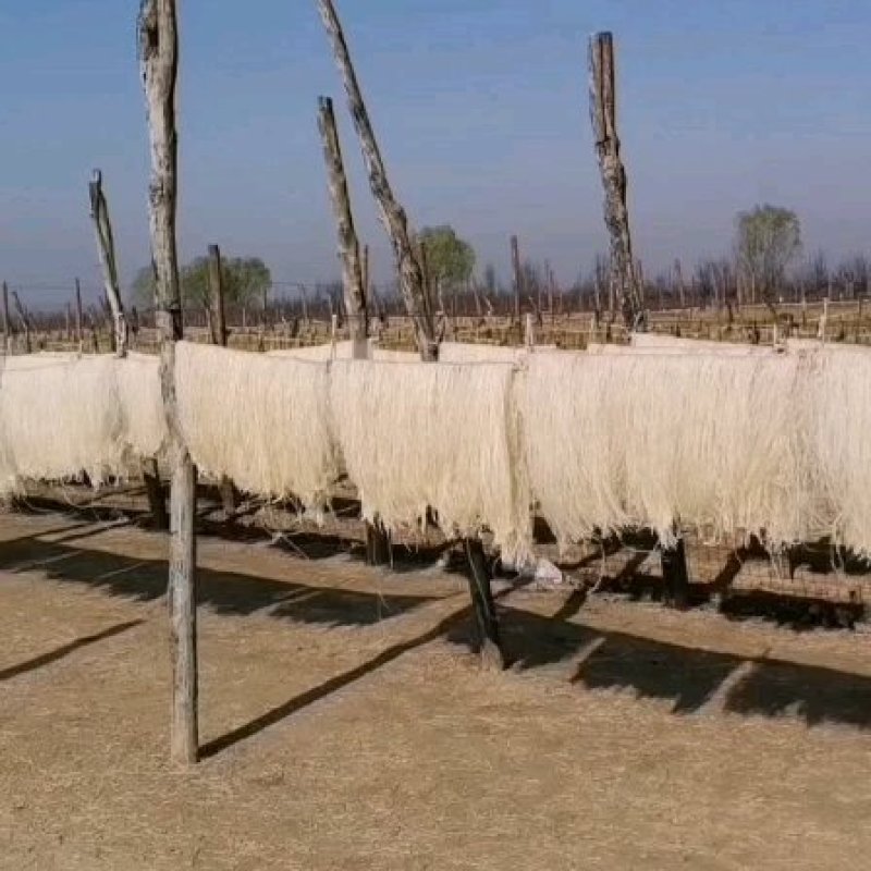 安徽宿州砀山县粉条厂区直供一手货源欢迎