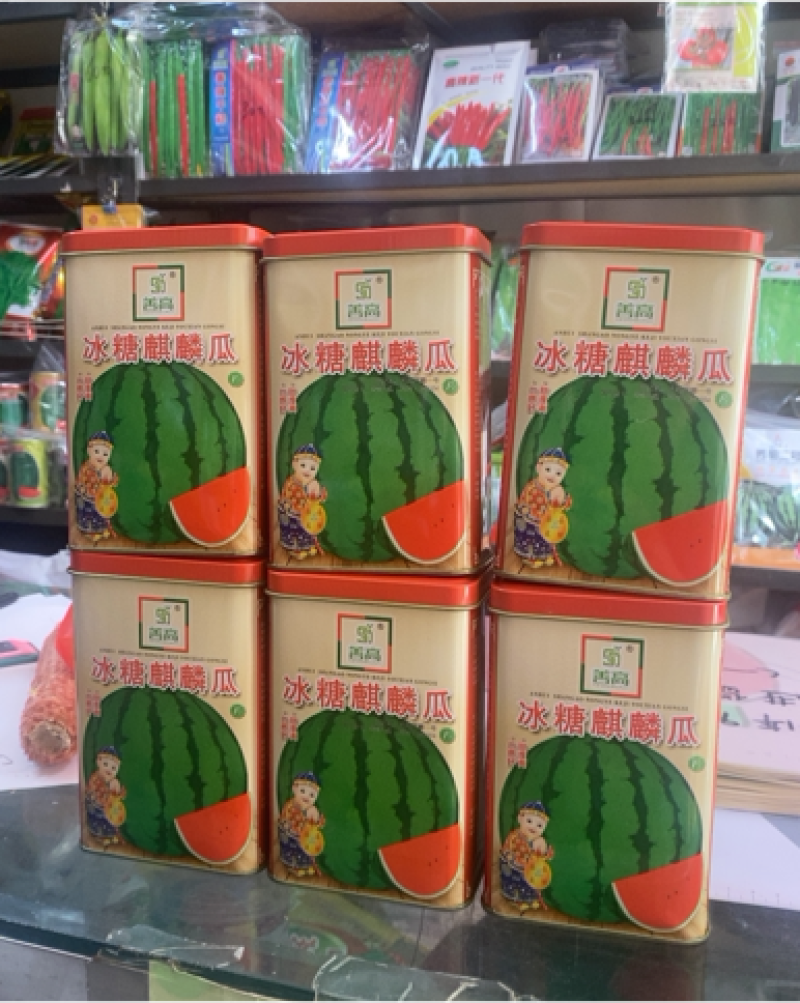 冰糖麒麟8424西瓜种子早熟高糖脆甜耐裂性好