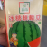 冰糖麒麟8424西瓜种子早熟高糖脆甜耐裂性好