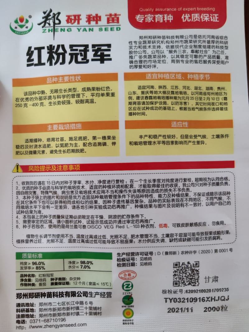 郑研红粉冠军西红柿种子，2000粒
