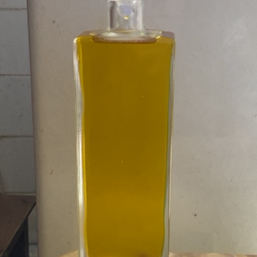 山油茶苗、山油茶挂果树苗，山油茶籽油