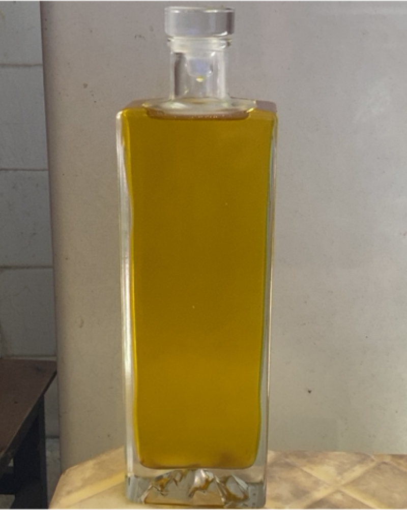 山油茶苗、山油茶挂果树苗，山油茶籽油