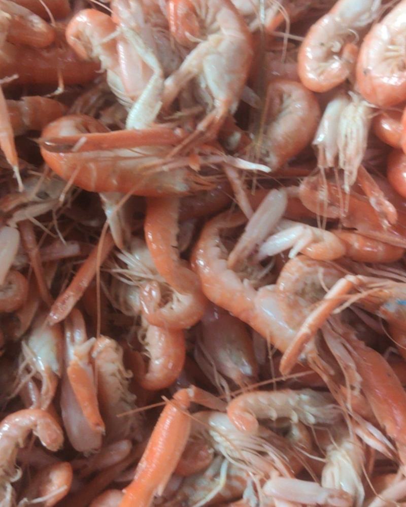 爪虾夹板虾草虾大量有货，质优价廉，自己加工