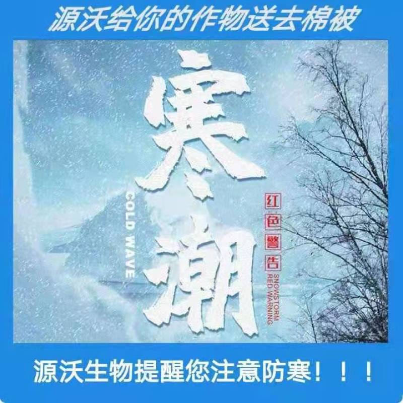 抗旱防冻叶面肥防冻壮苗提高作物抵抗能力