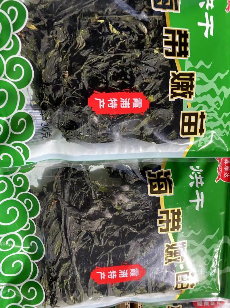 海带苗